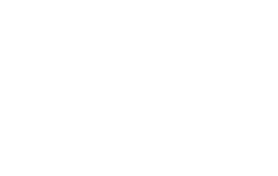 The Larsa Light